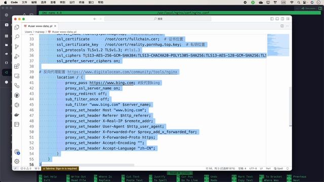 【目前最优解?】x-ui搭建reality并偷自己的证书，附带偷别人，无SNI，乱填SNI，偷x-ui面板证书的花式玩法
