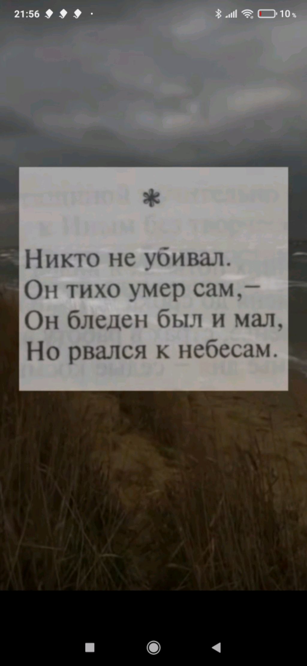 стрим в лагере смотреть онлайн