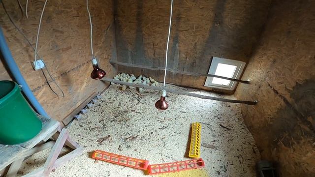 Субботник в деревне. Забрал посылку с конусами . [Жизнь в деревне] смотреть онлайн