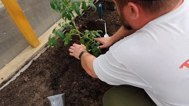 ЧТО ПРОИСХОДИТ / ИТОГИ ОДНОЙ НЕДЕЛИ МАЯ смотреть онлайн