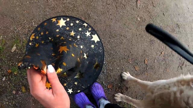 Наряжаем Алабаев к Хэллоуину??✨ || Весёлое утро с собаками ||Halloween ? смотреть онлайн