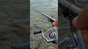 #рыбалка озеро Сасык Сиваш евпатория-саки