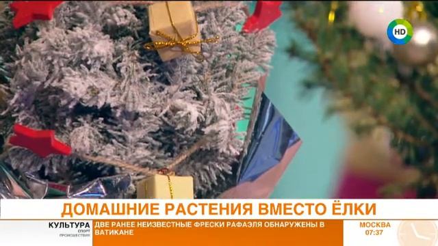 ДОМАШНИЕ РАСТЕНИЯ ВМЕСТО ЁЛКИ. Эфир от 15.12.17 смотреть онлайн