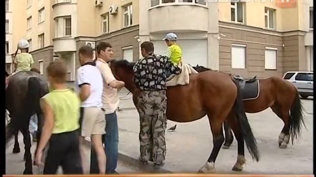 Горожане против лошадей смотреть онлайн