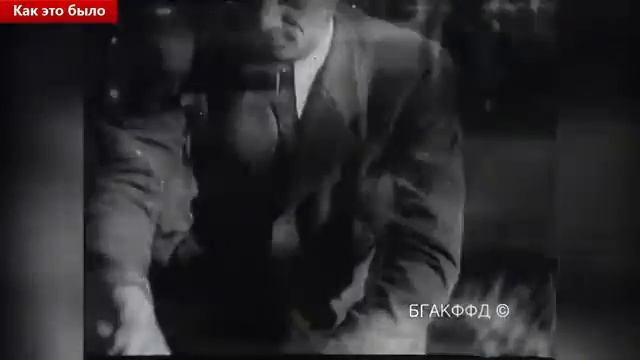 Зубры у Белавежы смотреть онлайн