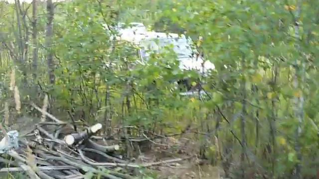 приезд на охоту(на пьянку!) смотреть онлайн