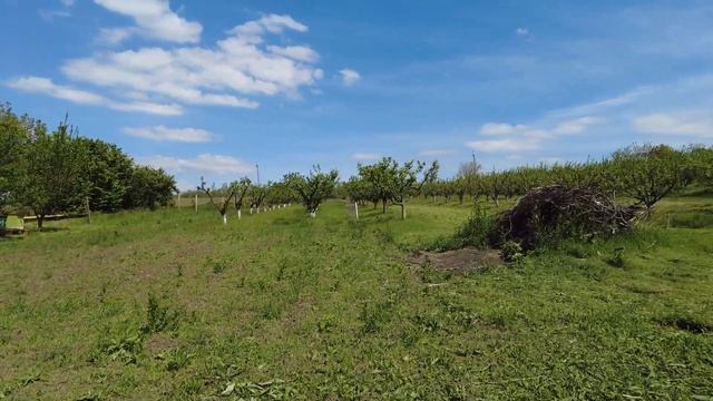 Большой участок с домом на Юге. смотреть онлайн