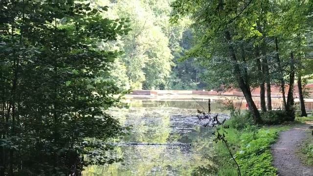 Румыния 2017. Поход к соленному озеру в Совате. смотреть онлайн