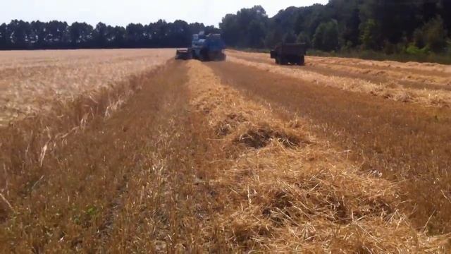 Старый комбайн убирает урожай. Old harvester to harvest смотреть онлайн