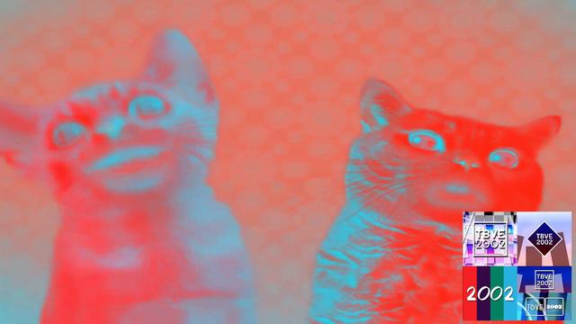 Preview 2 Numa Cat Effects | Touchstone Interactive (2008) Effects смотреть онлайн