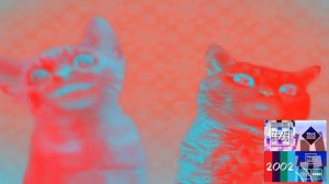 Preview 2 Numa Cat Effects | Touchstone Interactive (2008) Effects