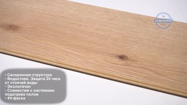 CLASSEN AMBIENCE 4V ДУБ KASAI 53679 смотреть онлайн