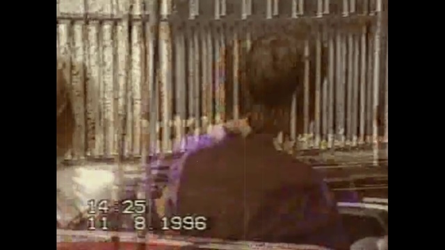 11/08/1996 (vol. 1) смотреть онлайн