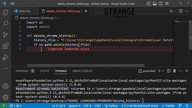Delete Browser History with Python смотреть онлайн