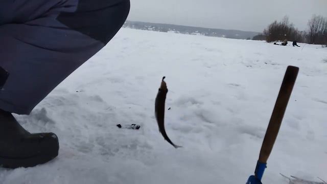 РЫБАЛКА НА ОБИ В ГЛУХОЗИМЬЕ!!! ЗИМНЯЯ РЫБАЛКА 2024!!! смотреть онлайн