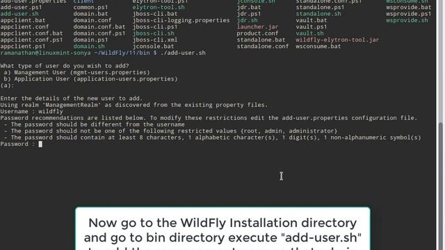 WildFly 11 Installation in Linux Mint 18 with Oracle JDK 8 (Java 8) смотреть онлайн