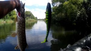 Щука разрывает КРУПНЫЕ ПРИМАНКИ! Ловля щуки на свимбейты на малой реке / РЫБАЛКА