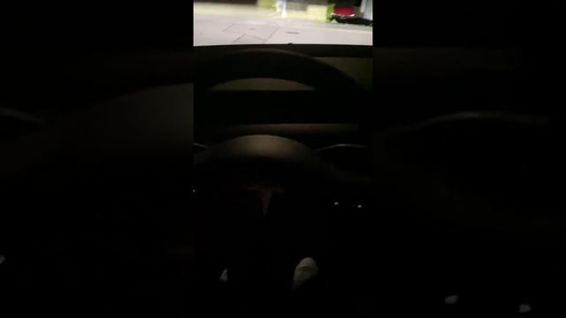 Русский язык на Tesla Model Y смотреть онлайн