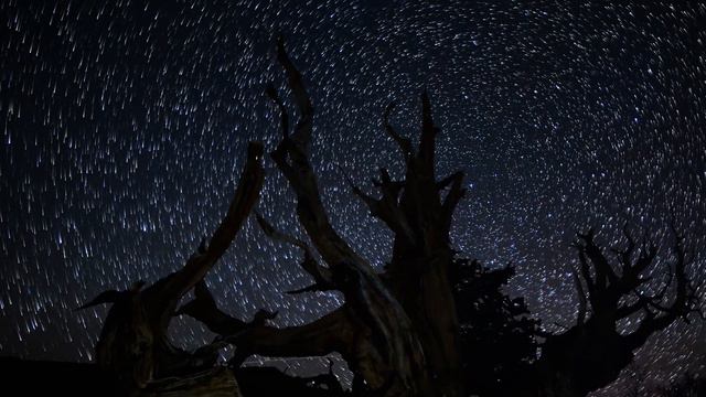 8Dio Score This: Constellations – SomniatorSound - Stardream смотреть онлайн