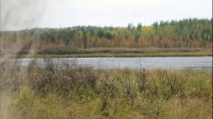 ПРИКЛЮЧЕНИЯ НА ДАЛЕКОМ СЕВЕРЕ