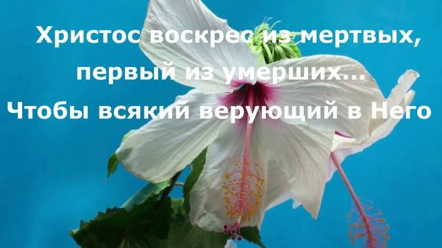 Христос Воскрес! смотреть онлайн