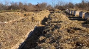 Утепление буртов с червём на зиму. Разведение красных калифорнийских червей на улице.