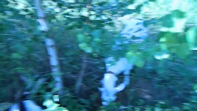 Удобная сумка-пояс для инструментов. Заготовка веников козам на зиму. смотреть онлайн