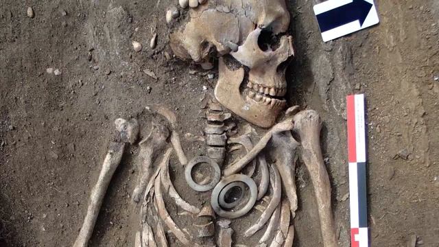 Скелеты нашли смотреть онлайн