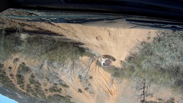 Bumped Tree Frank Raines Sportage смотреть онлайн
