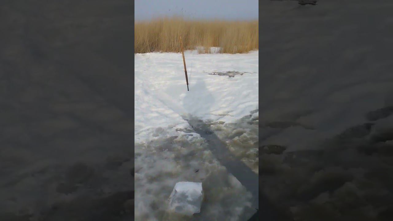 НАЧАЛСЯ ПОИСК РЫБЫ...2 ЯНВАРЯ смотреть онлайн