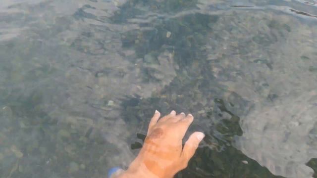 25 08 2022 Пляж Сукко смотреть онлайн