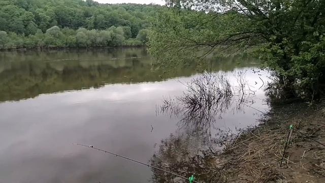 БЕШЕНЫЙ КЛЁВ??? НА РЕКЕ ОКА В МАЕ смотреть онлайн