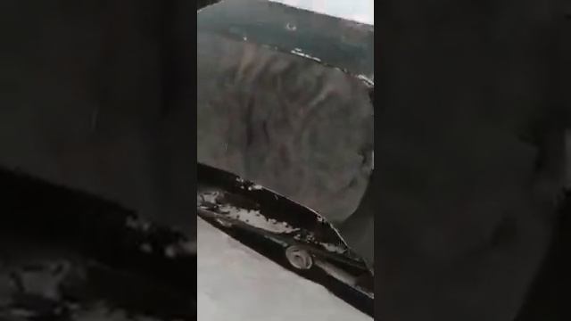 Снегоход «Тайга-Спутник 500» смотреть онлайн