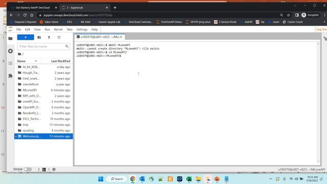 oneDNN Procedure to setup environment, Demo - With DevCloud смотреть онлайн
