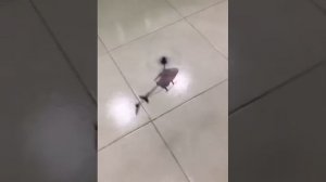 Летающий вертолет Induction aircraft с сенсорным управлением летает от руки