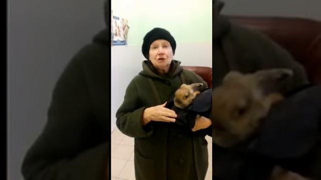 Отзыв ветеринарная клиника «Ветсовет» в Санкт-Петербурге смотреть онлайн