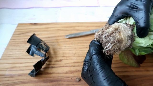 Домовенок Стройкин