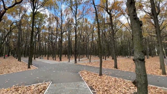 Поздняя осень в парке смотреть онлайн