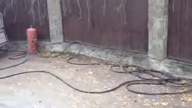 УСЛУГИ КОМПРЕССОРА AIRNAN PDS 125 Kompressora-arenda.ru # 89267061435