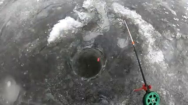 ДУХ ЗАХВАТЫВАЕТ когда ОНИ ЛОЖАТ ПОПЛАВОК! зимняя рыбалка на поплавок 2022 смотреть онлайн