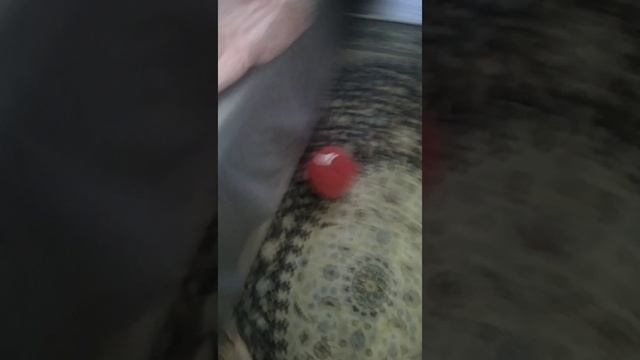 БЗОК 4:кровать. смотреть онлайн