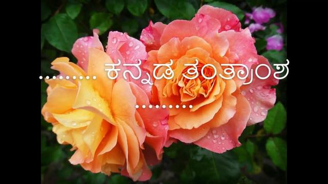 KBC Episode 43, Sign In to Microsoft Store, Check for App Updates, and Download Apps from the Store смотреть онлайн