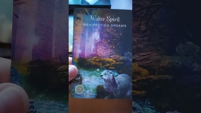 Unboxing The Sacred Forest Oracle by Denise Linn смотреть онлайн