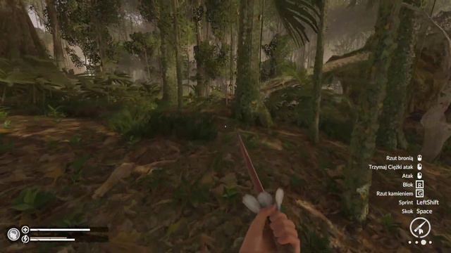Destrukcja obozu tubylców - Green Hell Spirits of Amazonia & Animal Husbandry Gameplay PL #16 смотреть онлайн