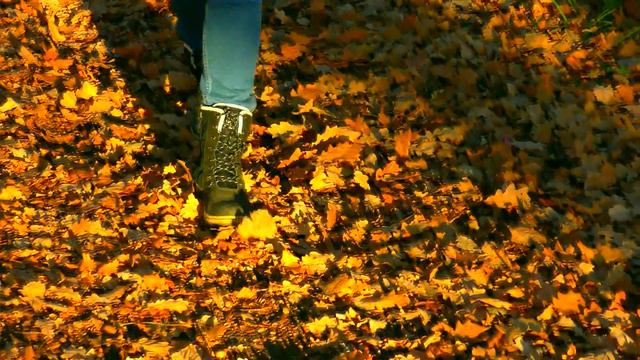 Мелодия осени смотреть онлайн