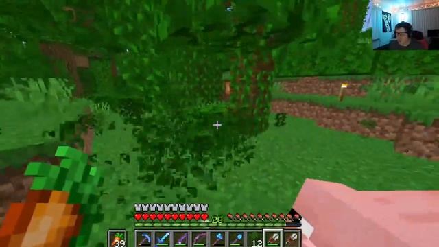 Minecraft SMP (PUBLIC) ~ 1.19.3 Java Realm смотреть онлайн