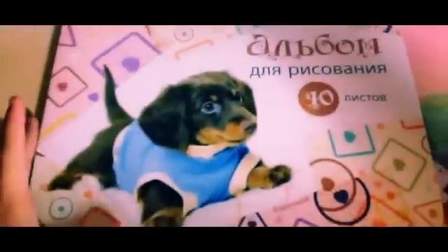 Back To School/Канцелярия