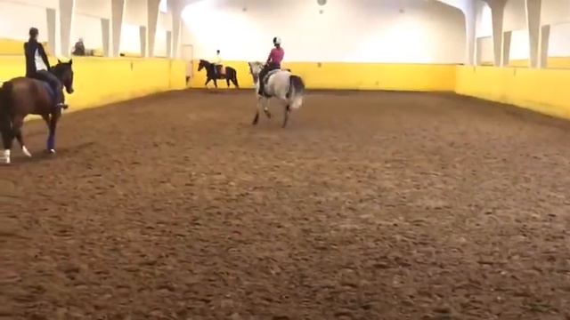 Василиса и Гоша ППЮ смотреть онлайн