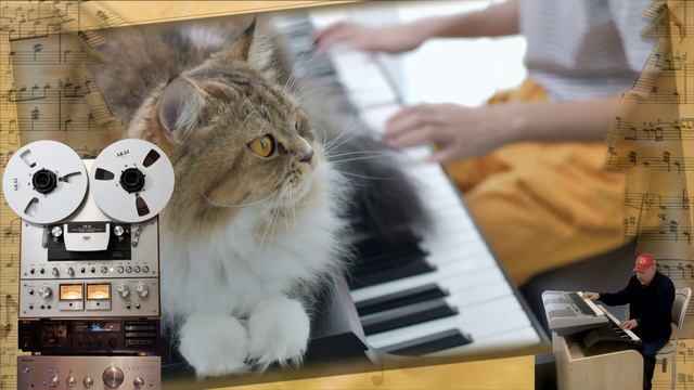 Музыкант смотреть онлайн