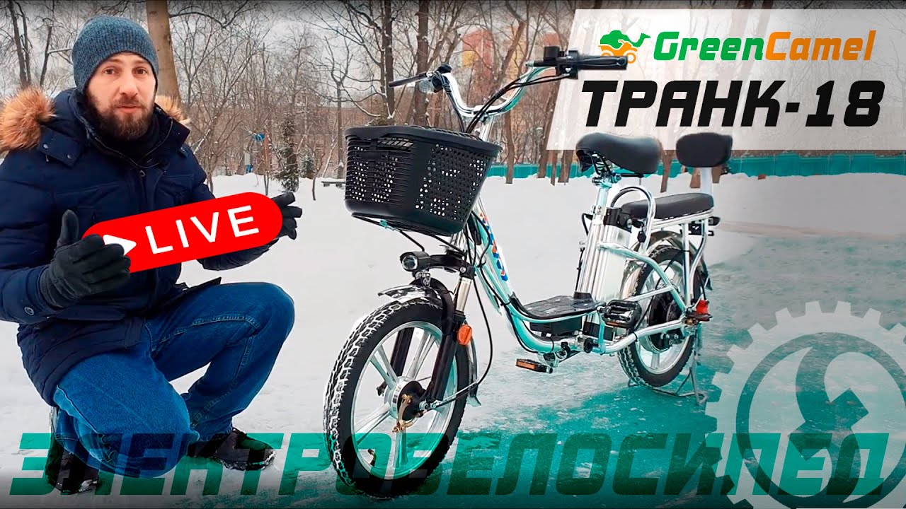Многофункциональный электровелосипед GreenCamel Транк 18 | R18 350W 48V 10Ah смотреть онлайн